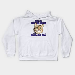 There is nothing wrong with my cat Kids Hoodie